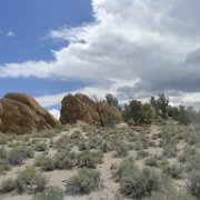 MonoBasin 003 : MonoBasin